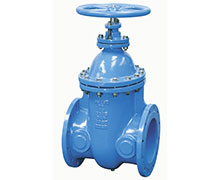 ܛ�ܷ�բ��